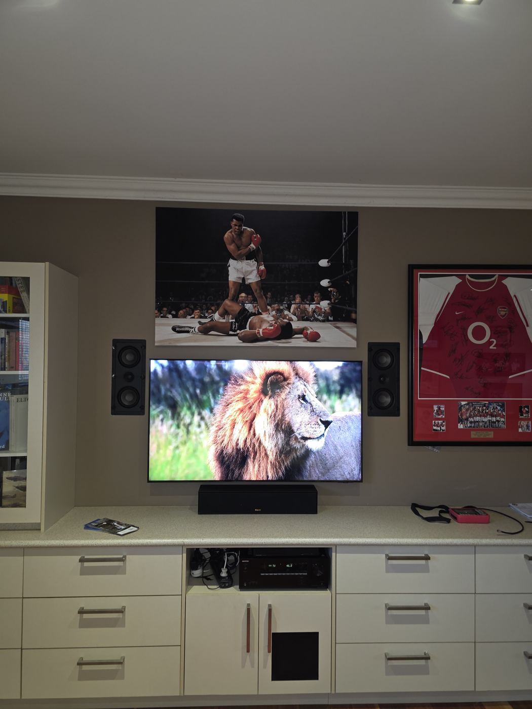 TV Mounts #48